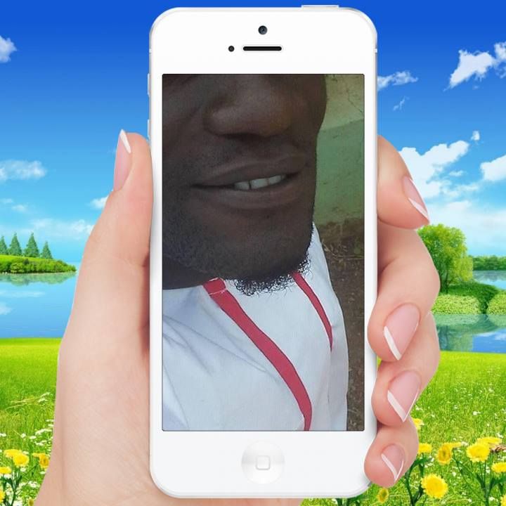 benary_467 benary_467