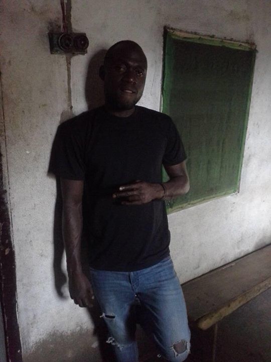 benary_467 benary_467